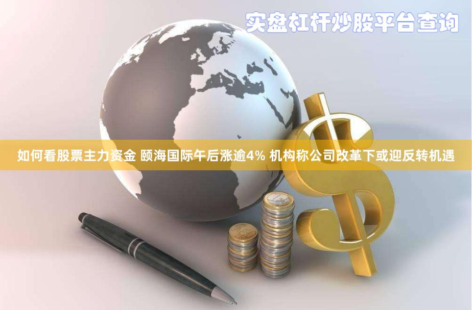 如何看股票主力资金 颐海国际午后涨逾4% 机构称公司改革下或迎反转机遇