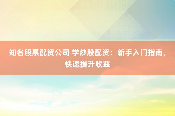 知名股票配资公司 学炒股配资：新手入门指南，快速提升收益