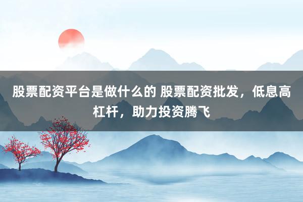 股票配资平台是做什么的 股票配资批发，低息高杠杆，助力投资腾飞