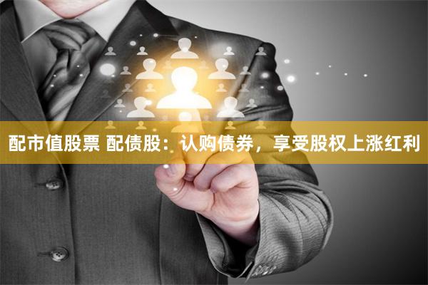 配市值股票 配债股：认购债券，享受股权上涨红利