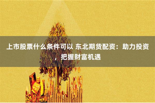 上市股票什么条件可以 东北期货配资：助力投资，把握财富机遇