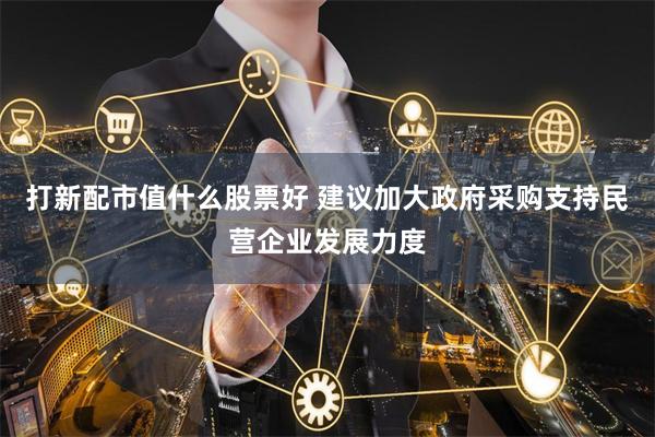 打新配市值什么股票好 建议加大政府采购支持民营企业发展力度